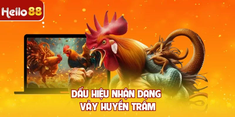 Dấu hiệu nhận dạng vảy huyền trâm