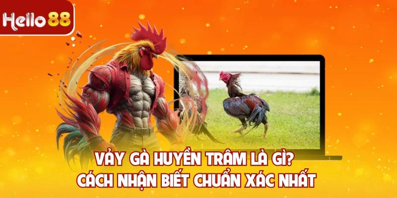 Vảy gà huyền trâm